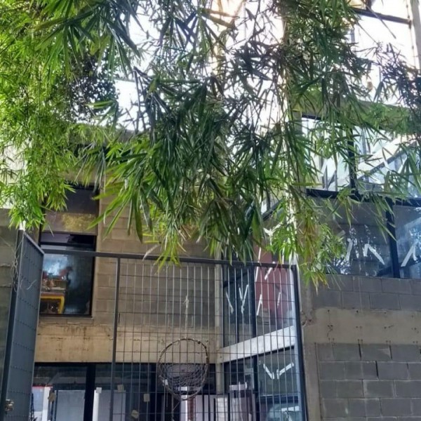 Vista da área de preservação para a fachada posterior da casa.